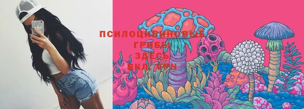 прущая мука Медвежьегорск