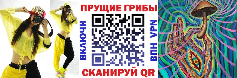 Галлюциногенные грибы мухоморы Купить где Вяземский